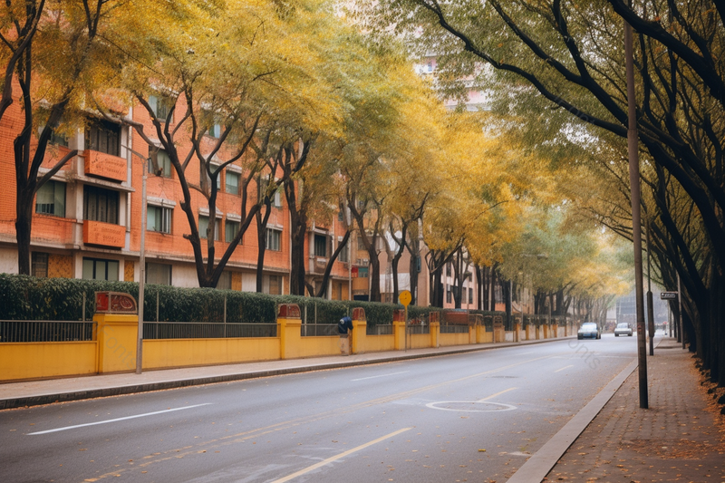 秋天宽敞的马路路边黄色叶子的树街边环境行驶,高清,摄影图,摄影图片,图片大全,摄影图免费下载